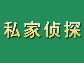 田林市私家正规侦探