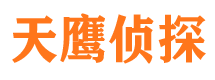 田林市场调查